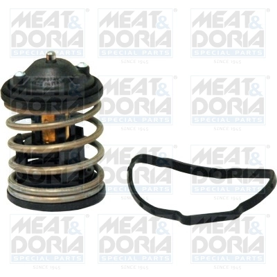 Thermostat, coolant